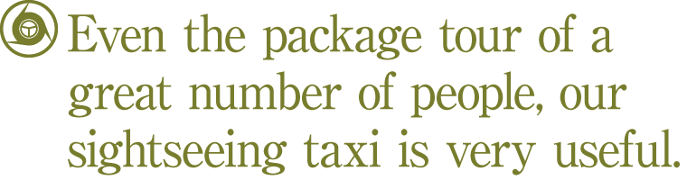 Even the package tour of a great number of people, our sightseeing taxi is very useful.